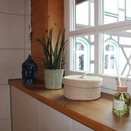 Loft 18 - Mit Sauna & Kamin- Appartement